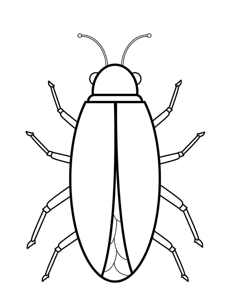 cockroach drawing sa kolor