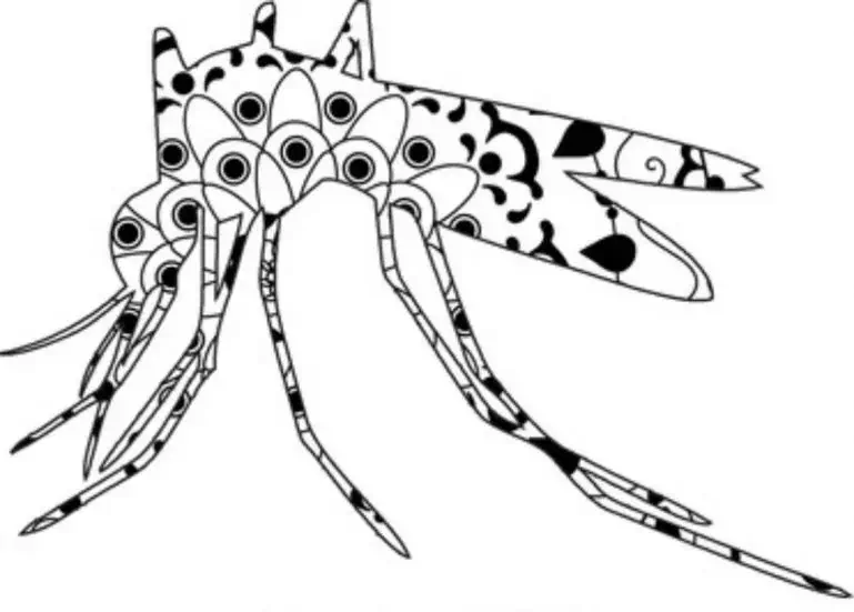 Mandala zanzara