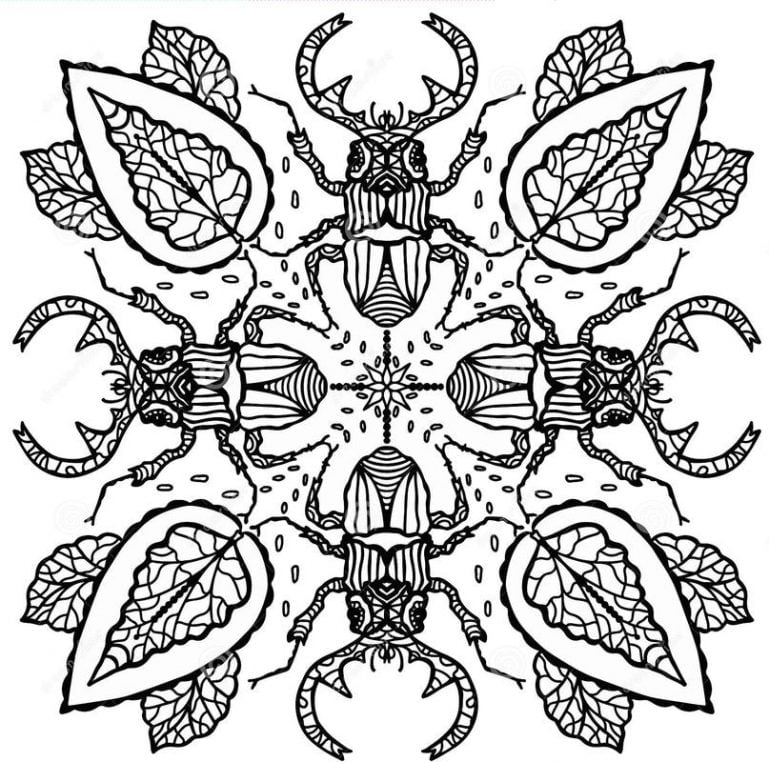 Mandala di coleotteri