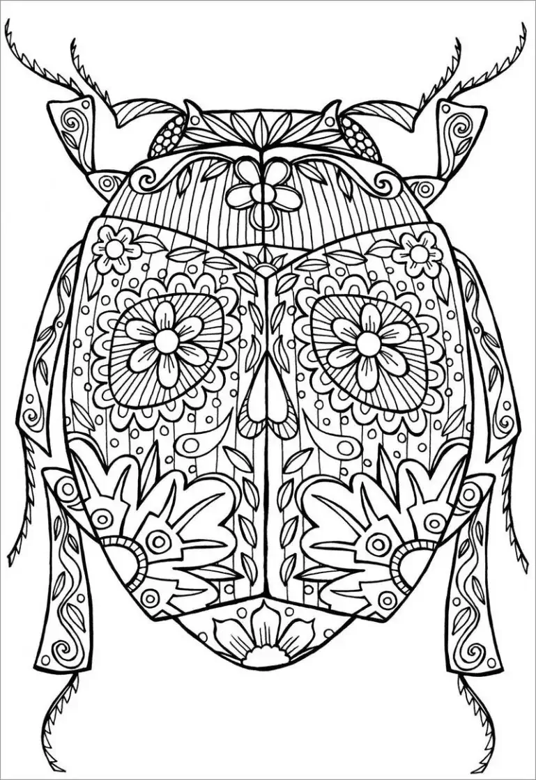 Scarabeo disegno da colorare