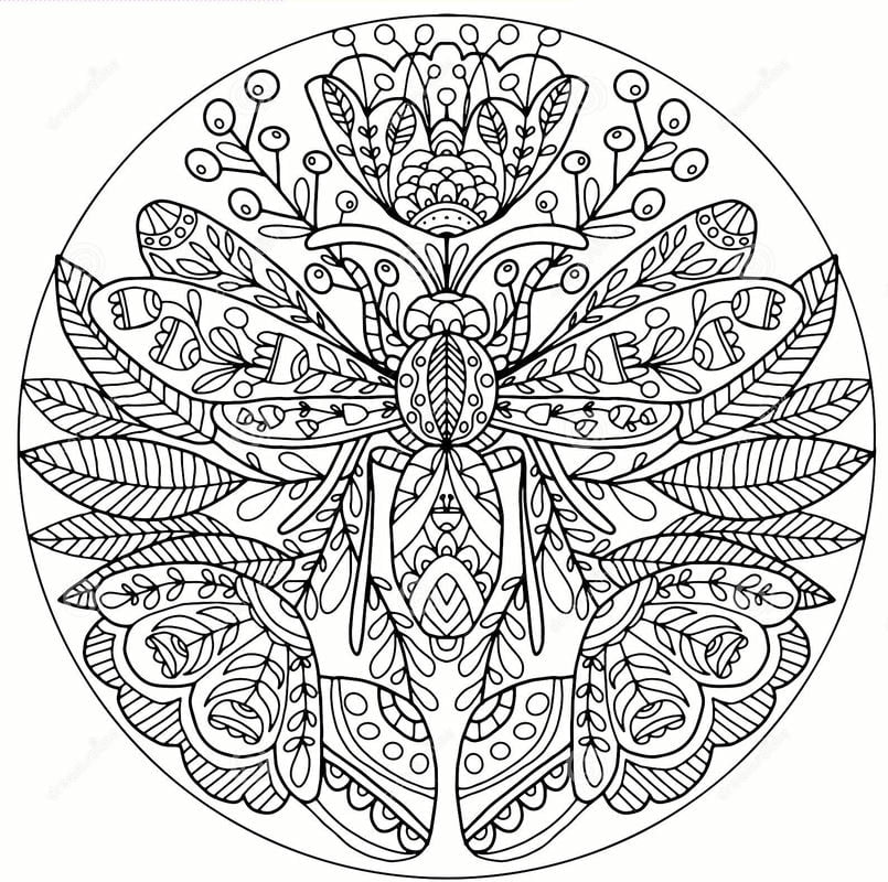 Mandala latająca