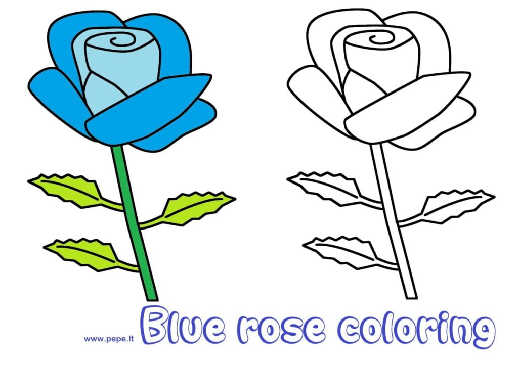 Blå rose