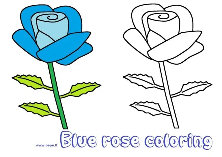Blå rose