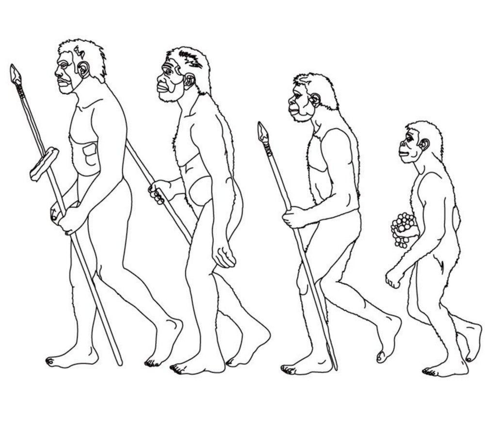 Ljudska evolucija