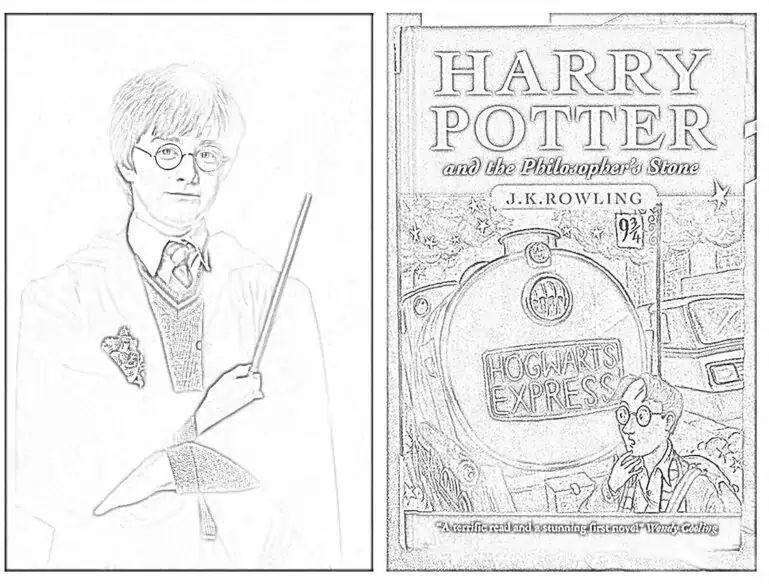 Harry Potter 책