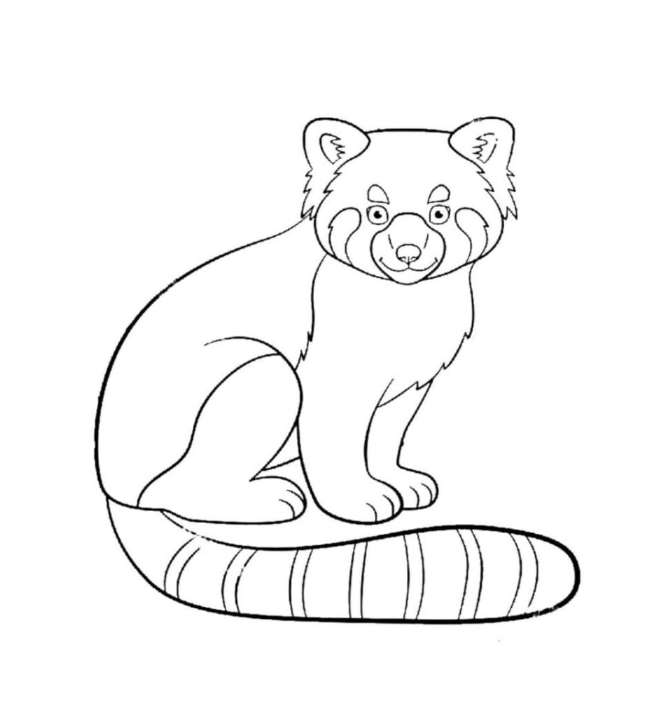 Panda rouge coloriage, panda rouge