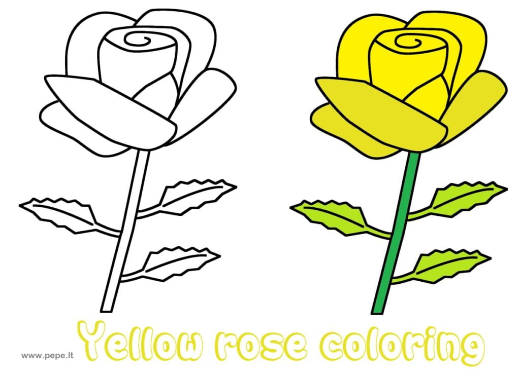 Gele roos kleurplaten