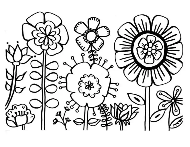 Sommerblomster til at farve