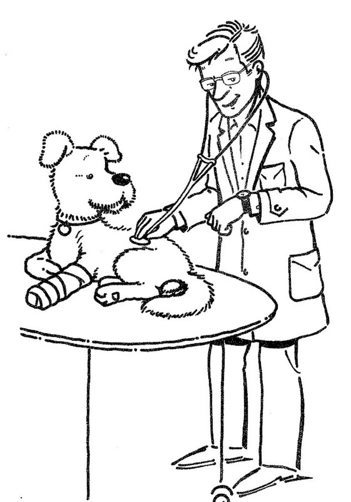 Ветеринар – колоритна професія