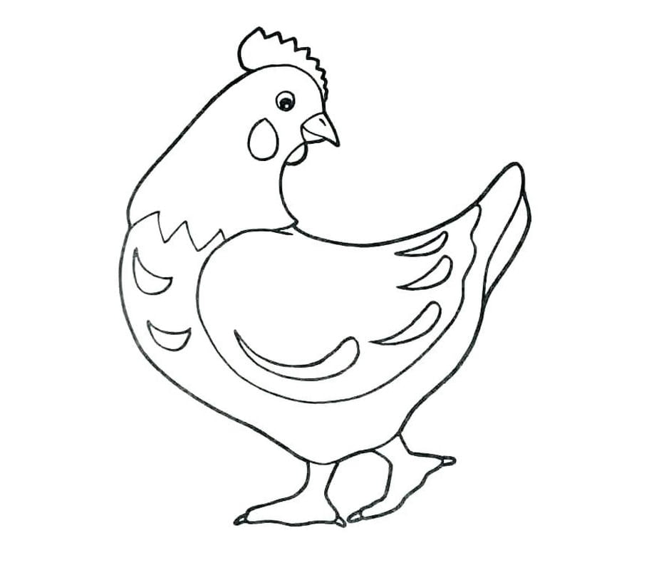 Colorer le poulet