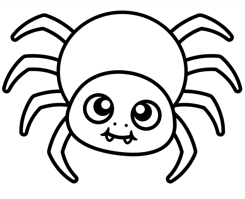 spider to color