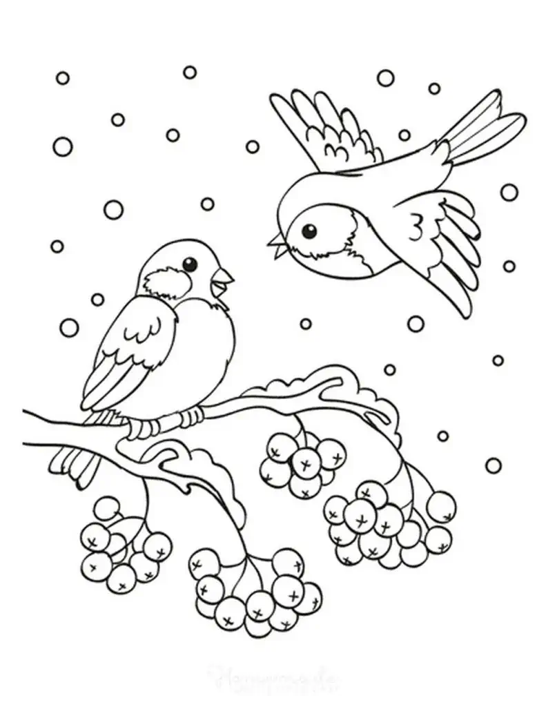 Los pájaros de invierno son colorear.