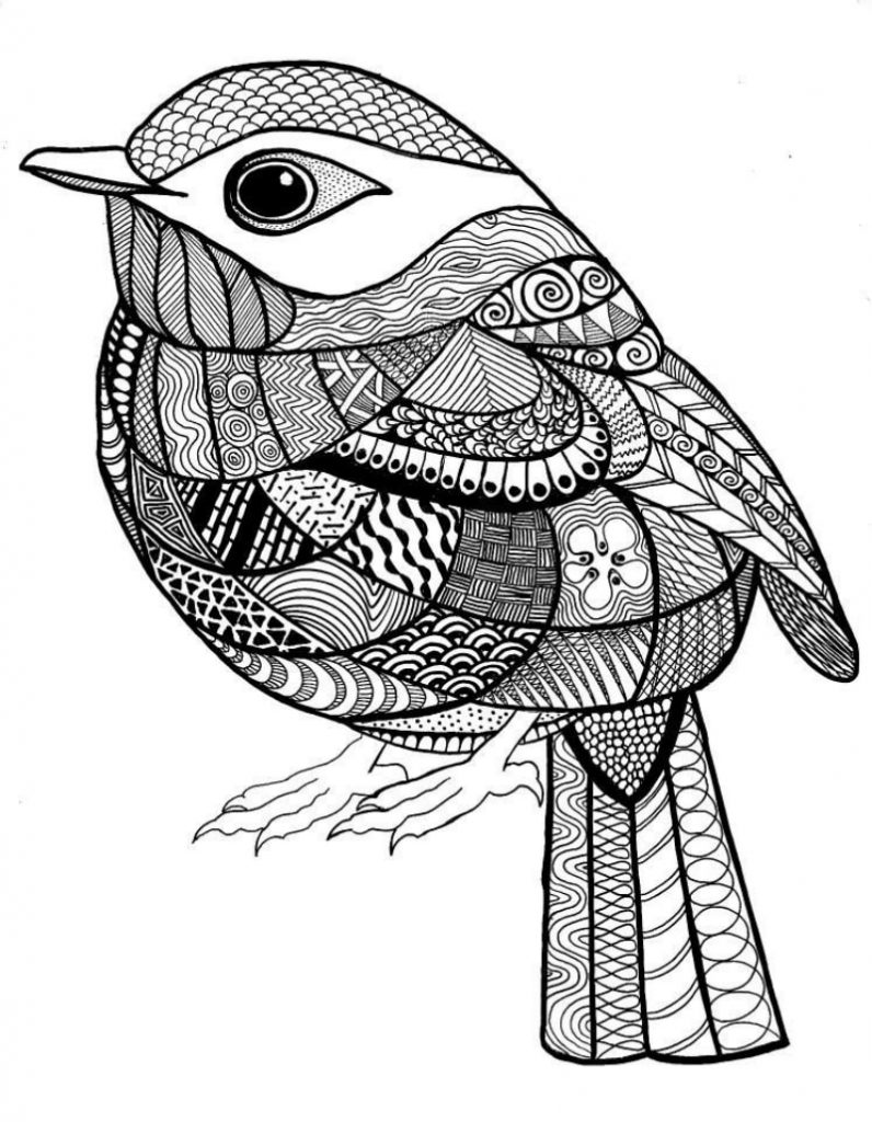 mandala vrabca pobarvanka